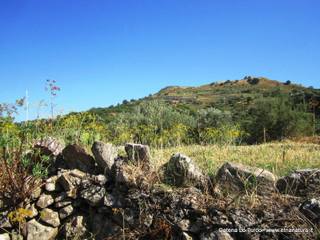 n Michele Forza Agro-31-08-2015 09-16-00